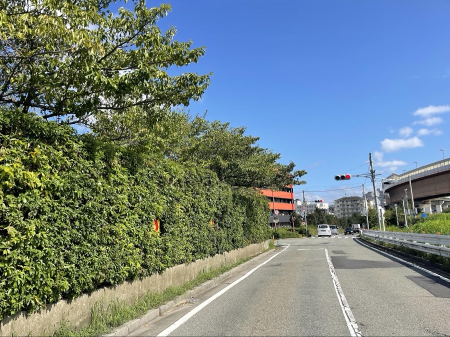 小花霊園の周辺の道と生垣